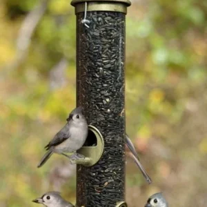 Medium Seed Tube Bird Feeder