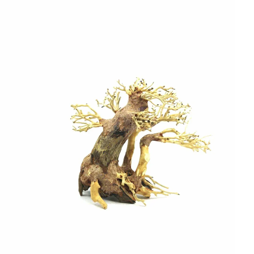 Medium Size Multi Trunk Bonsai Driftwood Tree M601 - Image 2