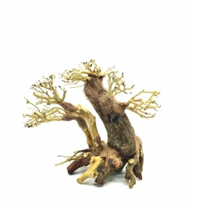 Medium Size Multi Trunk Bonsai Driftwood Tree M601