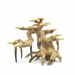 Medium Size Rainforest Bonsai Driftwood Tree M201