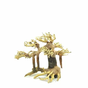 Medium Size Swamp Bonsai Driftwood Tree M331
