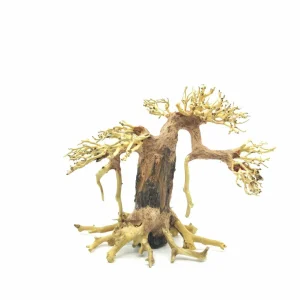 Medium Size Weeping Bonsai Driftwood Tree M111