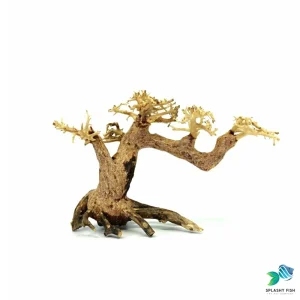 Medium Size Wind Swept Bonsai Driftwood Tree M501