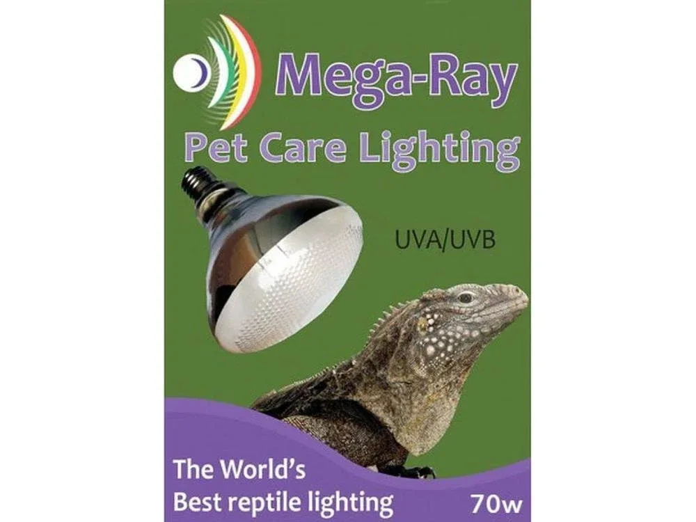 Mega-Ray Mercury Vapor Bulb, 70w