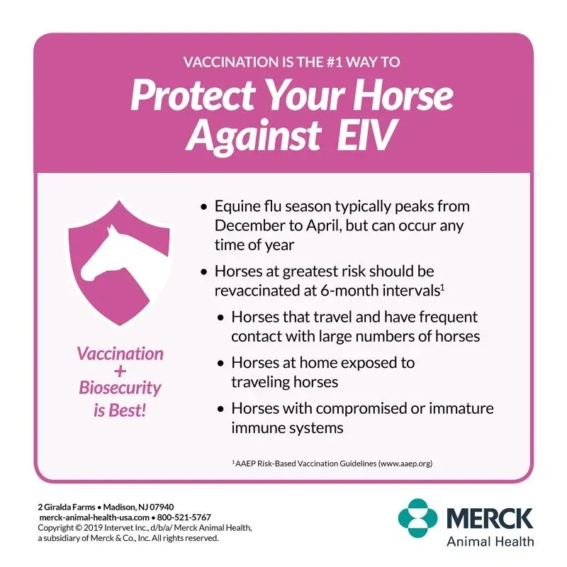 Merck Prestige 2 Vaccine Single Dose - Image 2