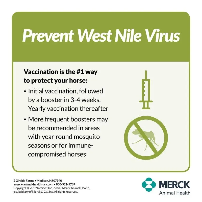 Merck Prestige 3 Plus WNV Vaccine Single Dose - Image 2