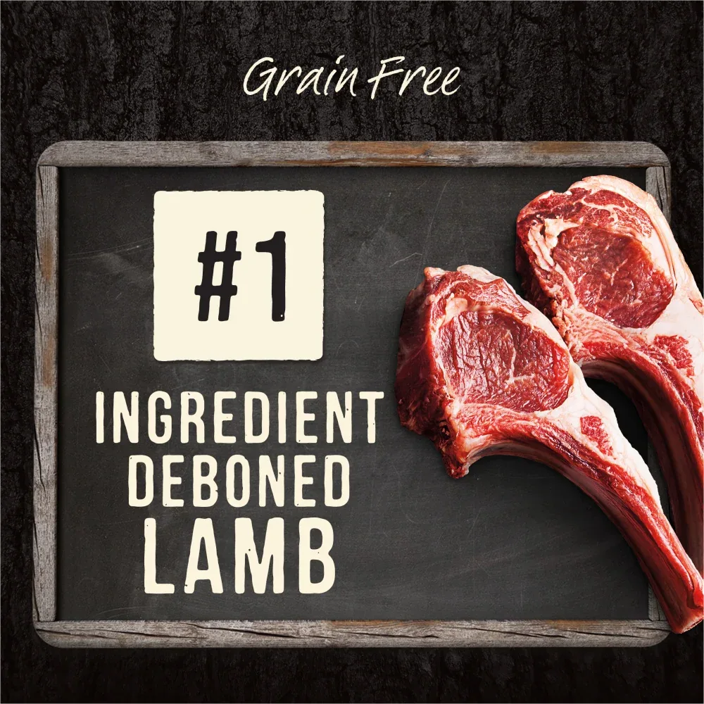 Merrick Backcountry Raw Infused Grain Free Big Game Recipe Dry Dog Food - Image 2