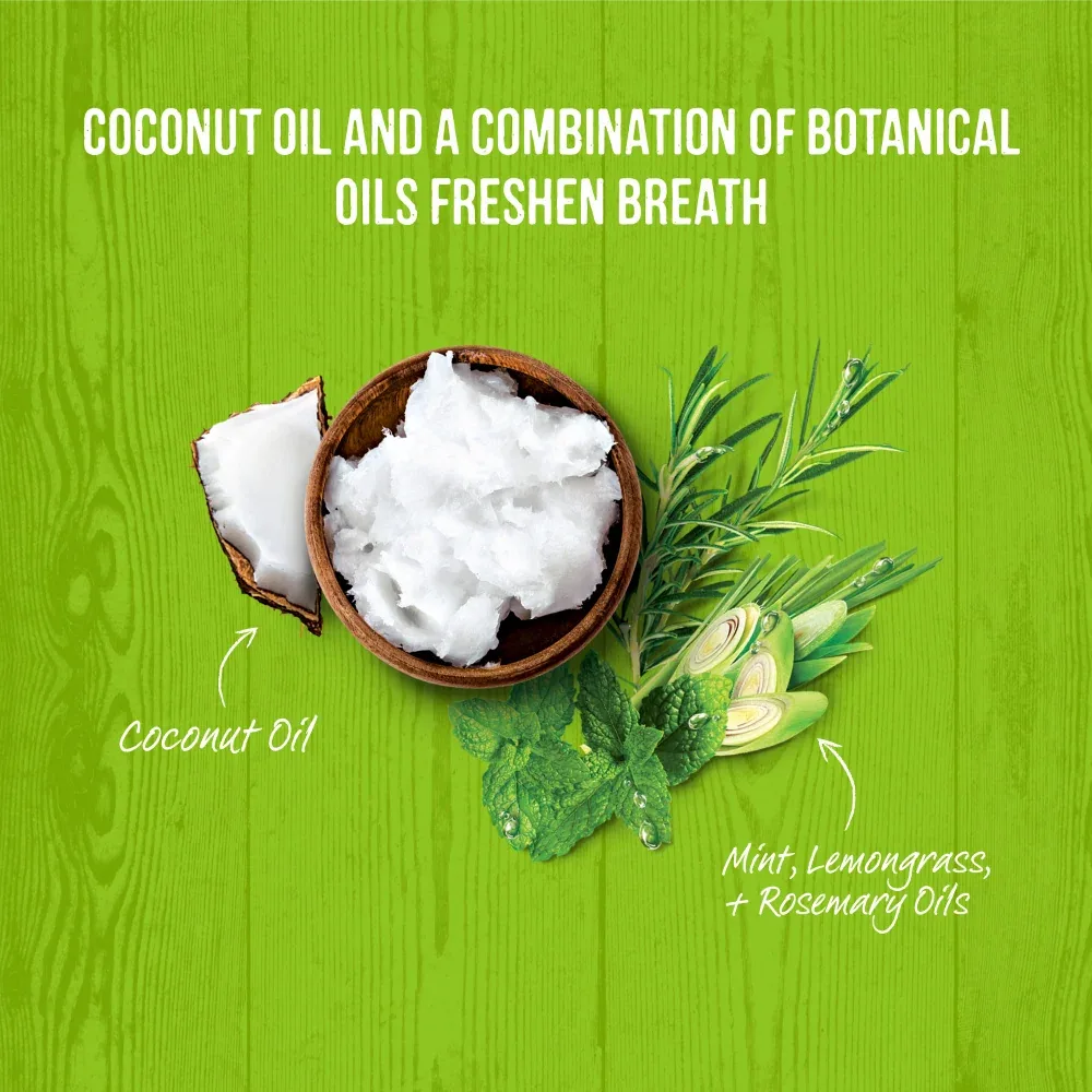 Merrick Fresh Kisses Grain Free Coconut Oil & Botanicals Small Dental Dog Treats - Image 2