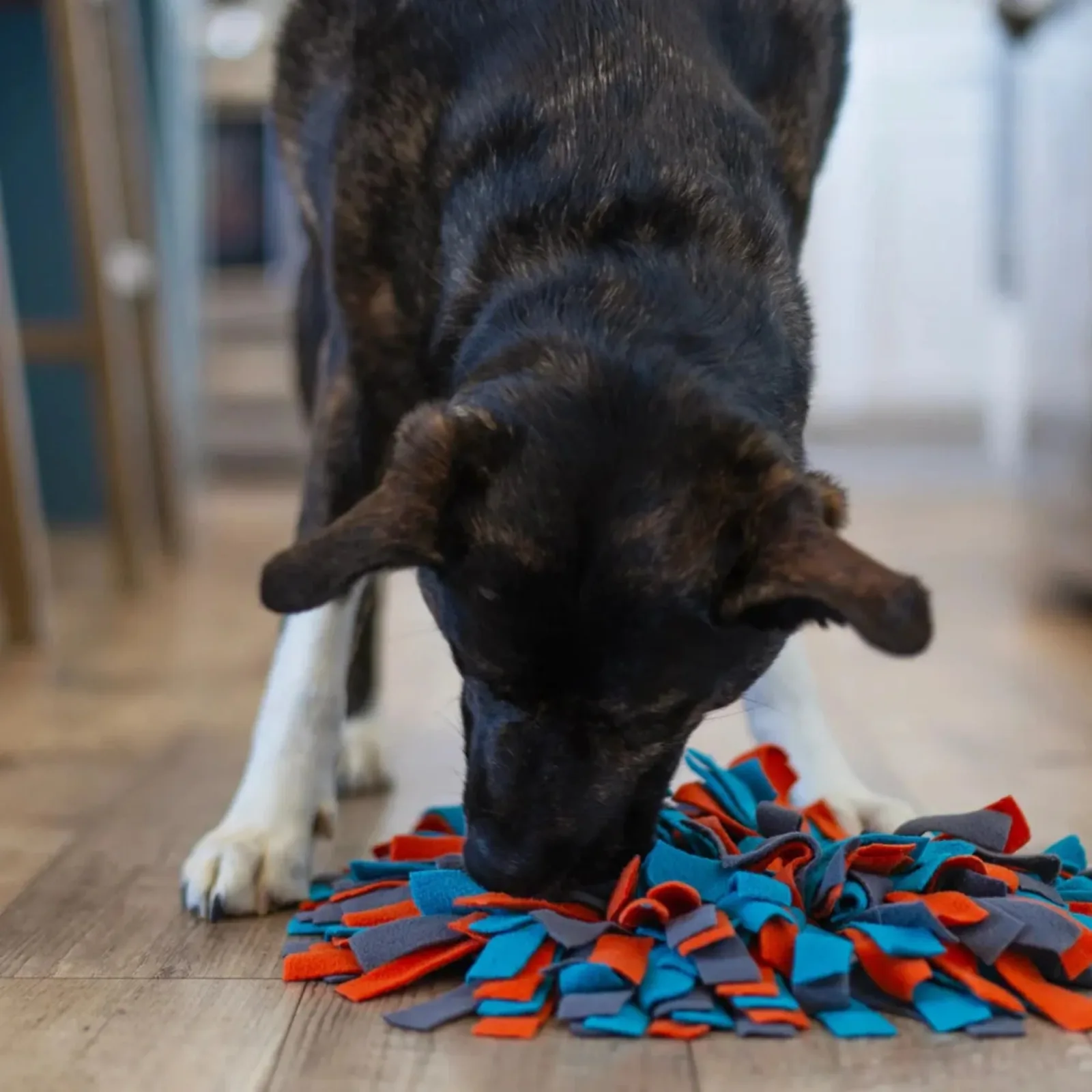 Messy Mutts Dog Round Forage Mat 15 in - Image 2