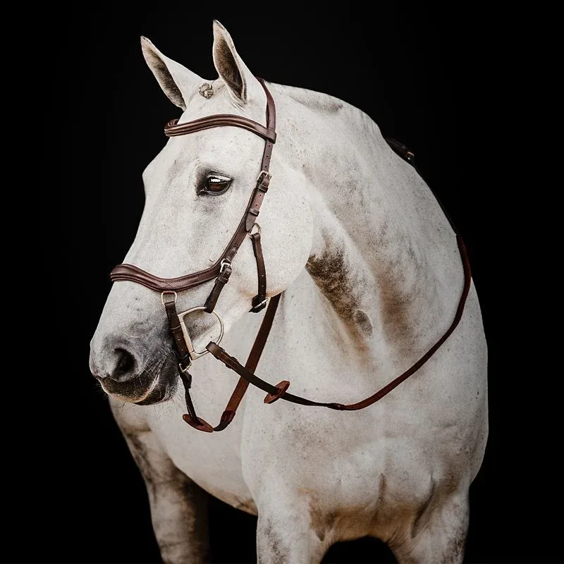 Micklem 2 Dlx Competition Bridle - Image 2