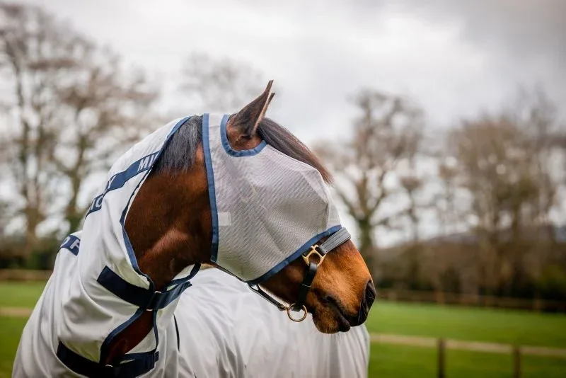 Mio Fly Mask 5 Pack - Image 2
