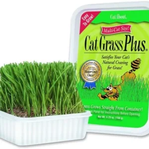 Miracle Care Gimpet Cat Grass 150g {L+1} 731073