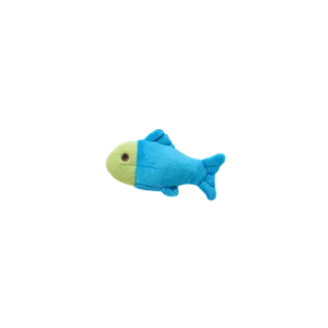 Molly Fish
