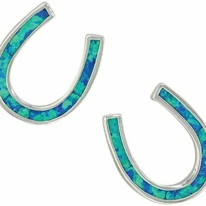 Montana Silversmiths River Lights Horseshoe Earrin