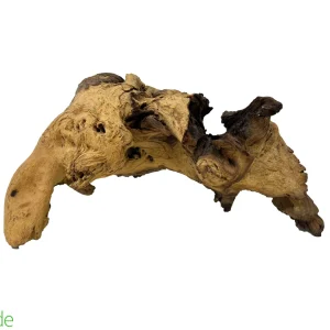 Mopani Root Wood