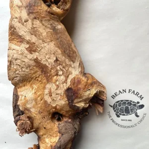 Mopani Wood for Terrarium or Aquarium