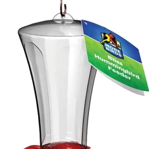 More Birds Bliss Plastic Hummingbird Feeder