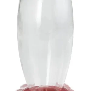 More Birds Deluxe Hummingbird Feeder
