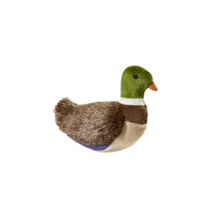 Morley Mallard