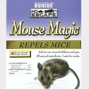 Mouse Magic