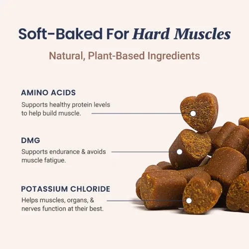 Muscle Support Soft Chews for Dogs - Image 2