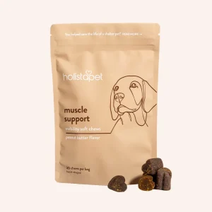 Muscle Support Soft Chews for Dogs