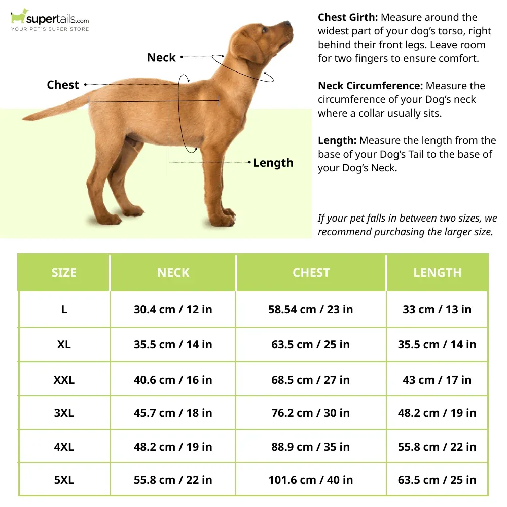 Mutt of Course Elon Mutts Shirt for Dogs - Image 2