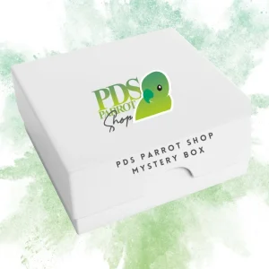 Mystery Box for Birds
