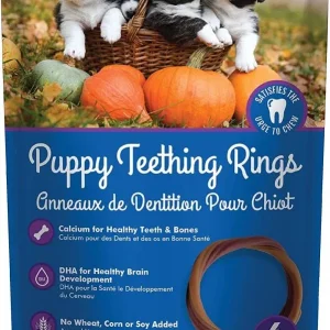 N-Bone Puppy Teething Ring - Pumpkin Flavor