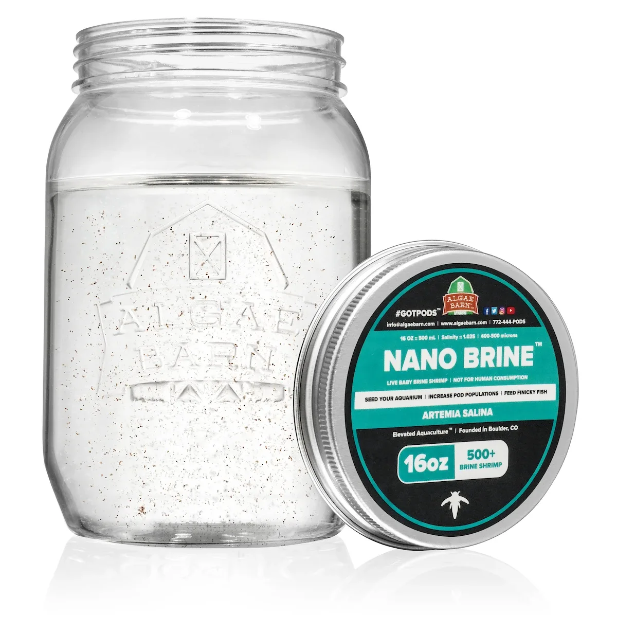 Nano Brine Live Baby Artemia 2000+ (64 oz) - Algae Barn