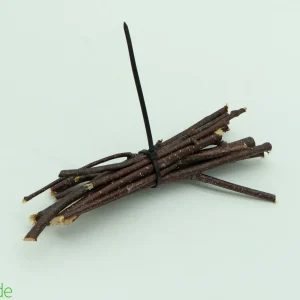 Natural Birch Branch Stalks - 5" - 7" -10 Count bag
