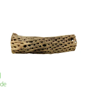 Natural Cholla Wood