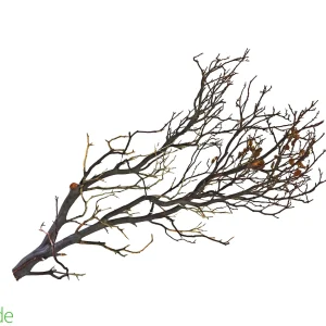 Natural Manzanita Full Branch(DARK) - Intricate