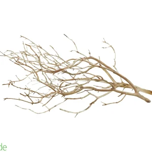 Natural Manzanita Full Branch(Sandblasted) - Intricate