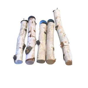 Natural Wood Perches for Birds