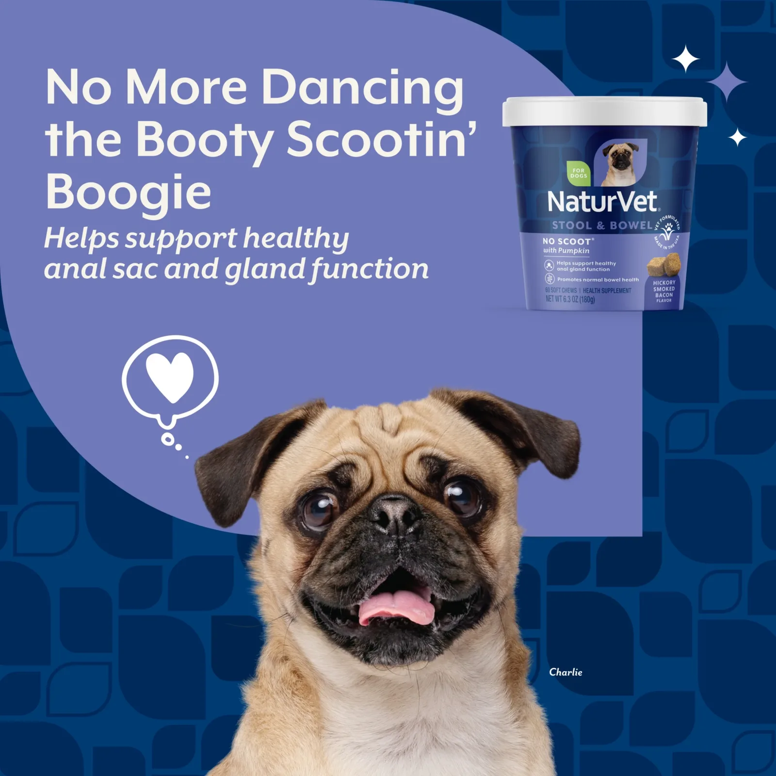 NaturVet No Scoot Stool & Bowel Supplement for Dogs, Hickory Smoked Bacon Flavor, 60 Count - Image 2