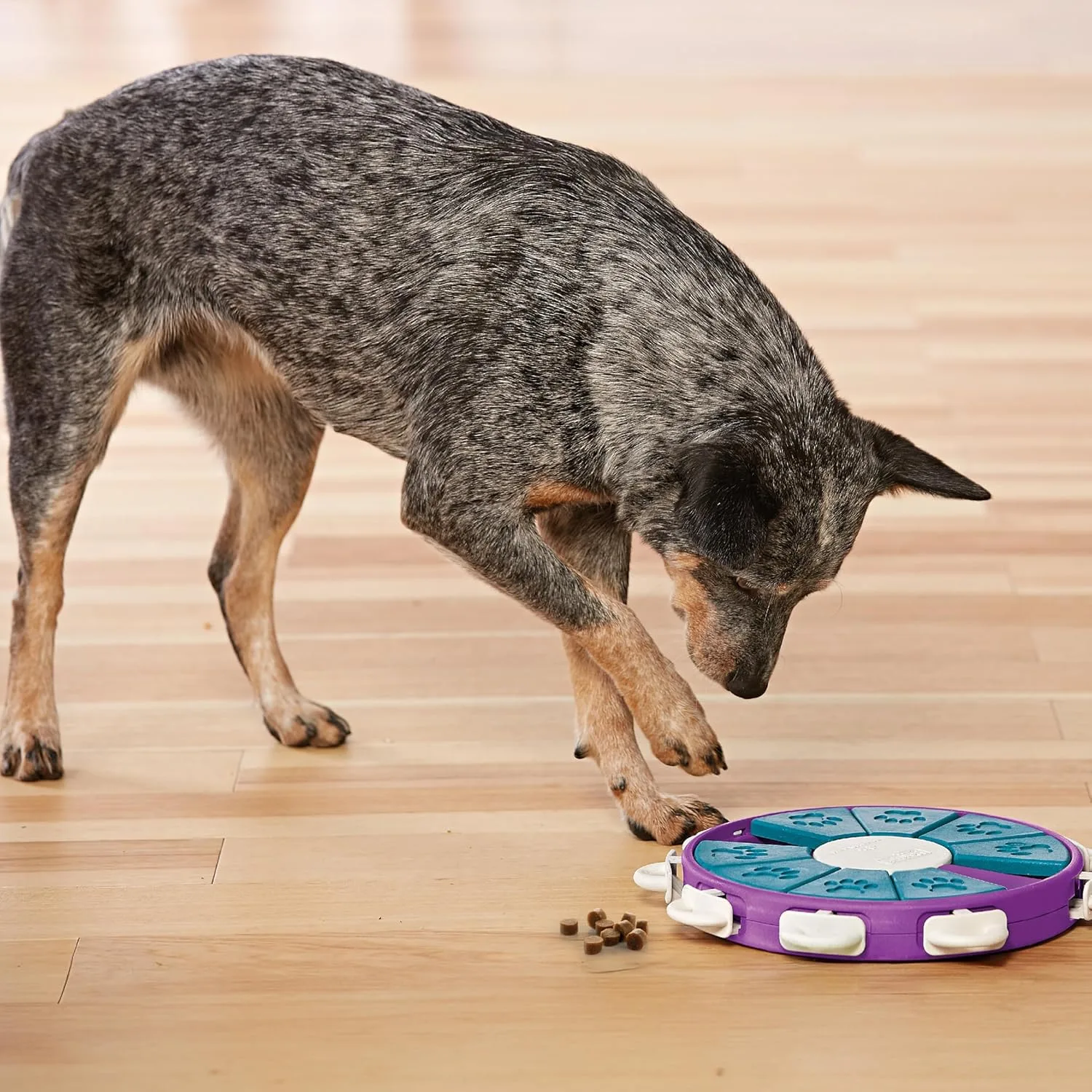 Nina Ottosson Dog Twister Interactive Treat Puzzle Dog Toy - Image 2