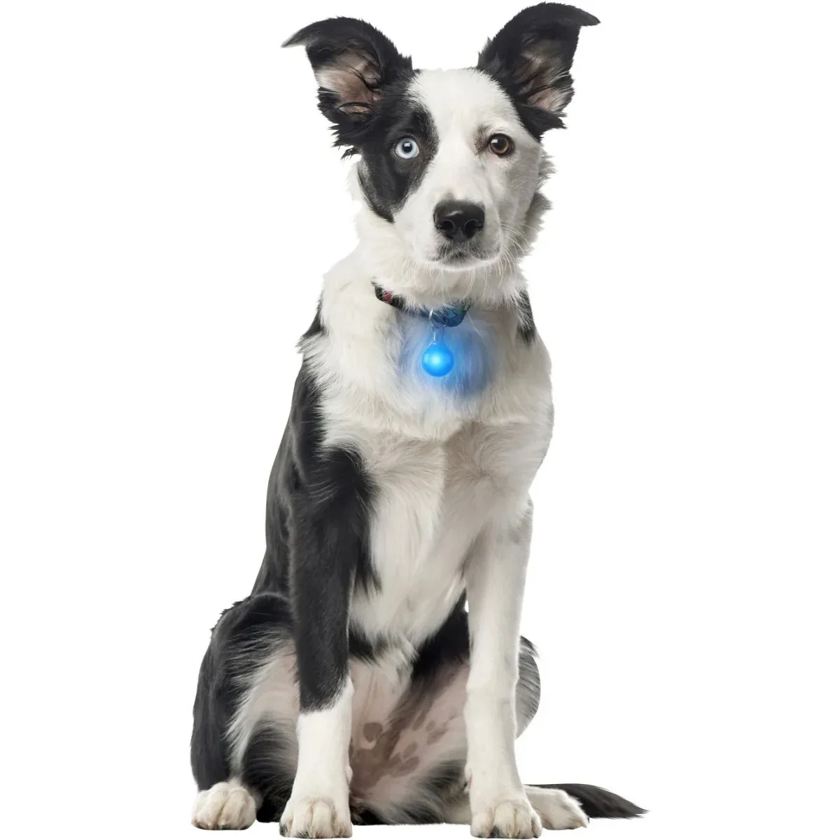 Nite Ize SpotLit Clip-On LED Light - Image 2