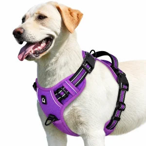 No Pull Dog Harness – Soft Air-Mesh Vest with Front & Back Clips, Reflective Trim and Padded Handle