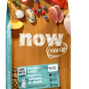 Now Fresh Grain Free Large Breed Puppy Recipe 25 lb