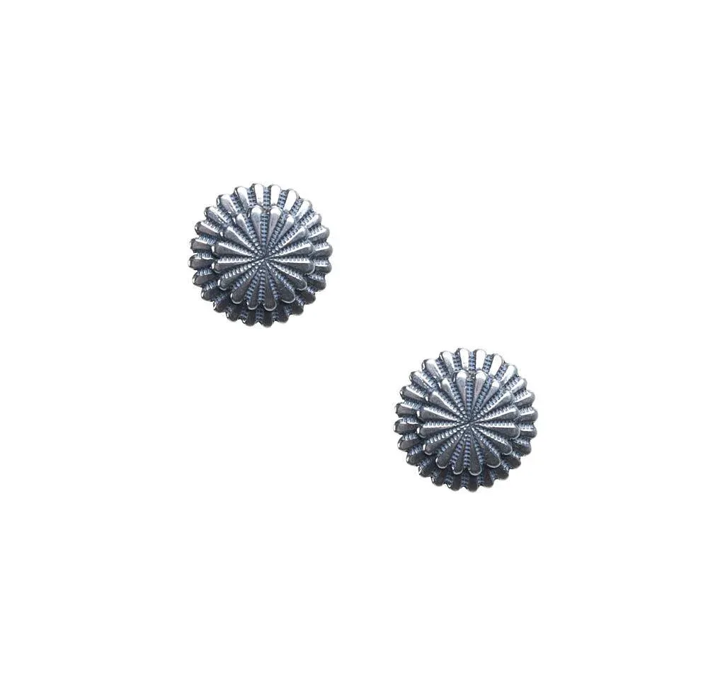 NRS Sterling Silver Burst Earrings