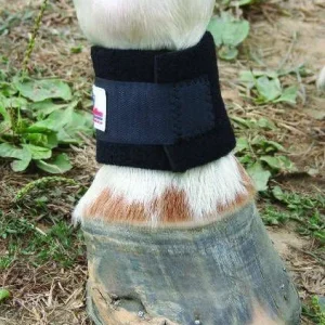 Nunn Finer Pastern Band Blk