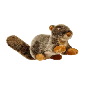 Nuts Squirrel