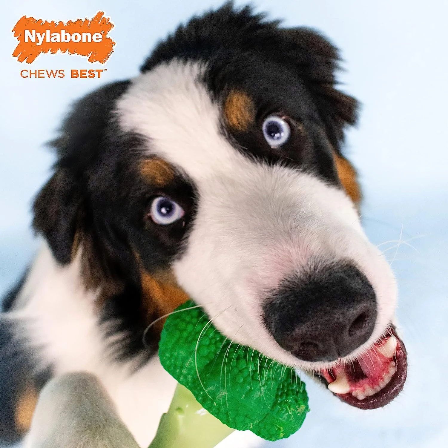 Nylabone Power Chew Broccoli - Image 2
