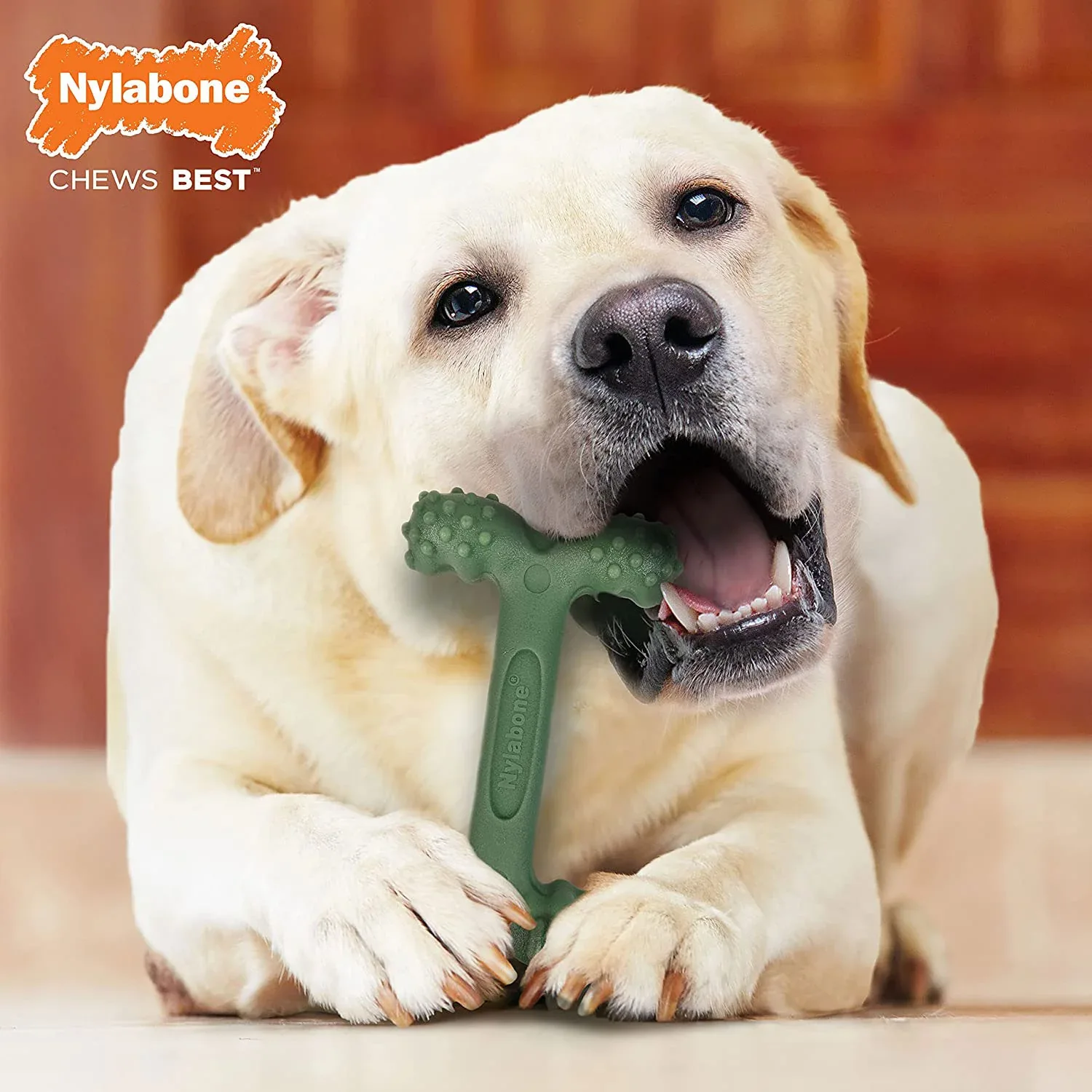 Nylabone Power Easy-Hold Dog Chew Toy - Image 2
