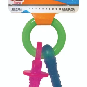 Nylabone Puppy Pacifier Teething Toy Bacon Small/Regular (1 Count)