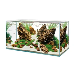 OASE ScaperLine Aquarium Tank