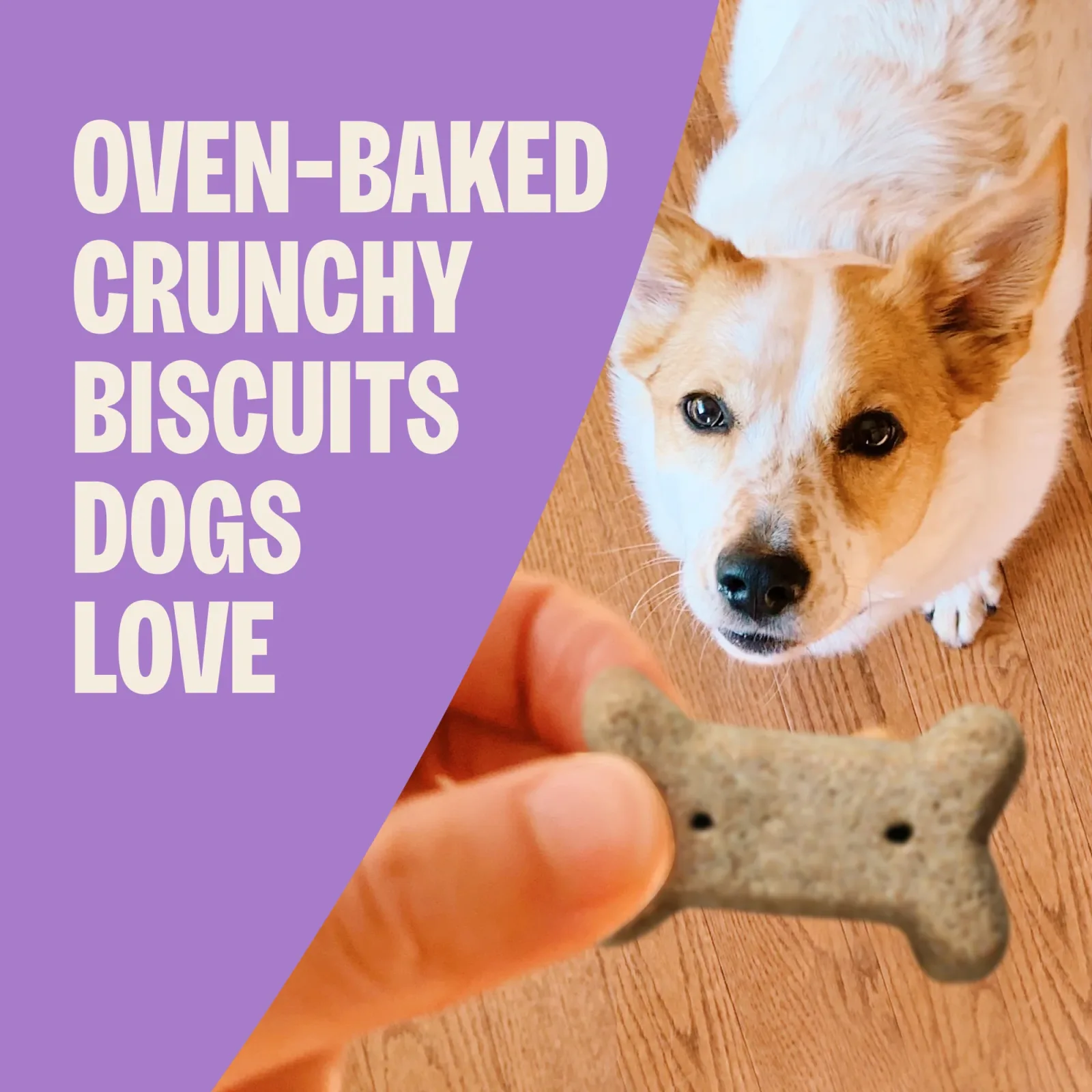 Old Mother Hubbard Crunchy Classic Natural P-Nuttier Mini Biscuits Dog Treats - Image 2