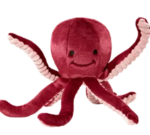 Olympia Octopus