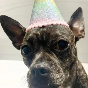 Ombré Sparkle Party Hat